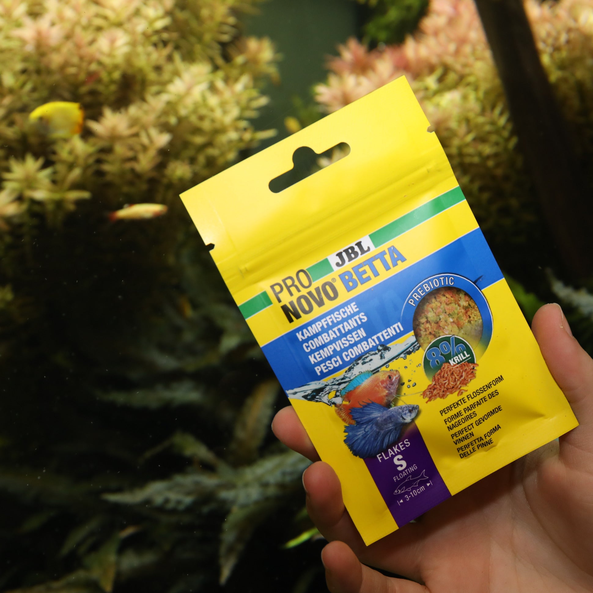 JBL ProNovo Betta Flakes S 20 ml – Mangime per Pesci Combattenti JBL ProNovo Betta Flakes S 20 ml – Mangime per Pesci Combattenti